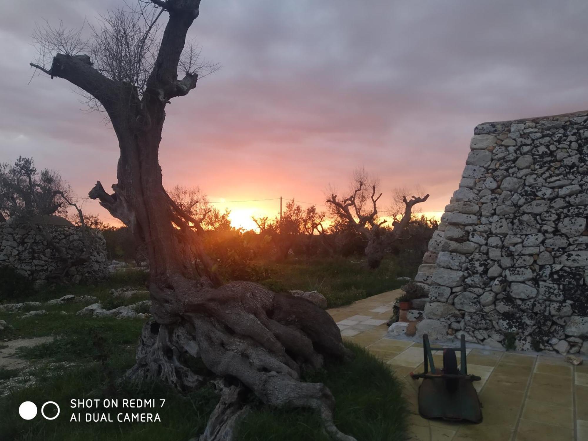 شقة La Nicchia-Trullo Corigliano dʼOtranto المظهر الخارجي الصورة